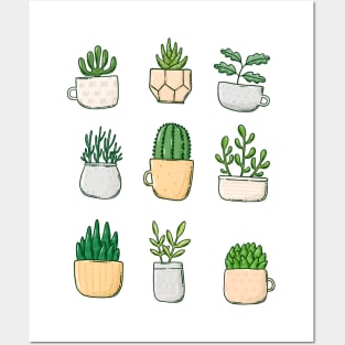 Plants in cups and pots Posters and Art